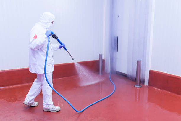 Best Winterizing Services  in Lemon Grove, CA