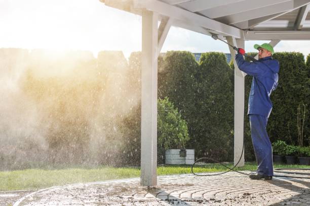 Best Warehouse Cleaning  in Lemon Grove, CA