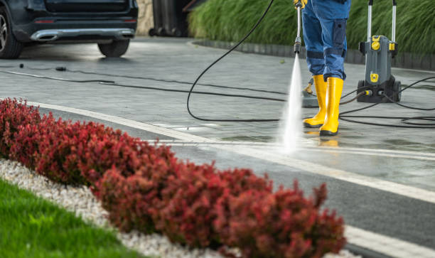 Best Building Exterior Washing  in Lemon Grove, CA